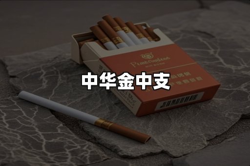 中华金中支